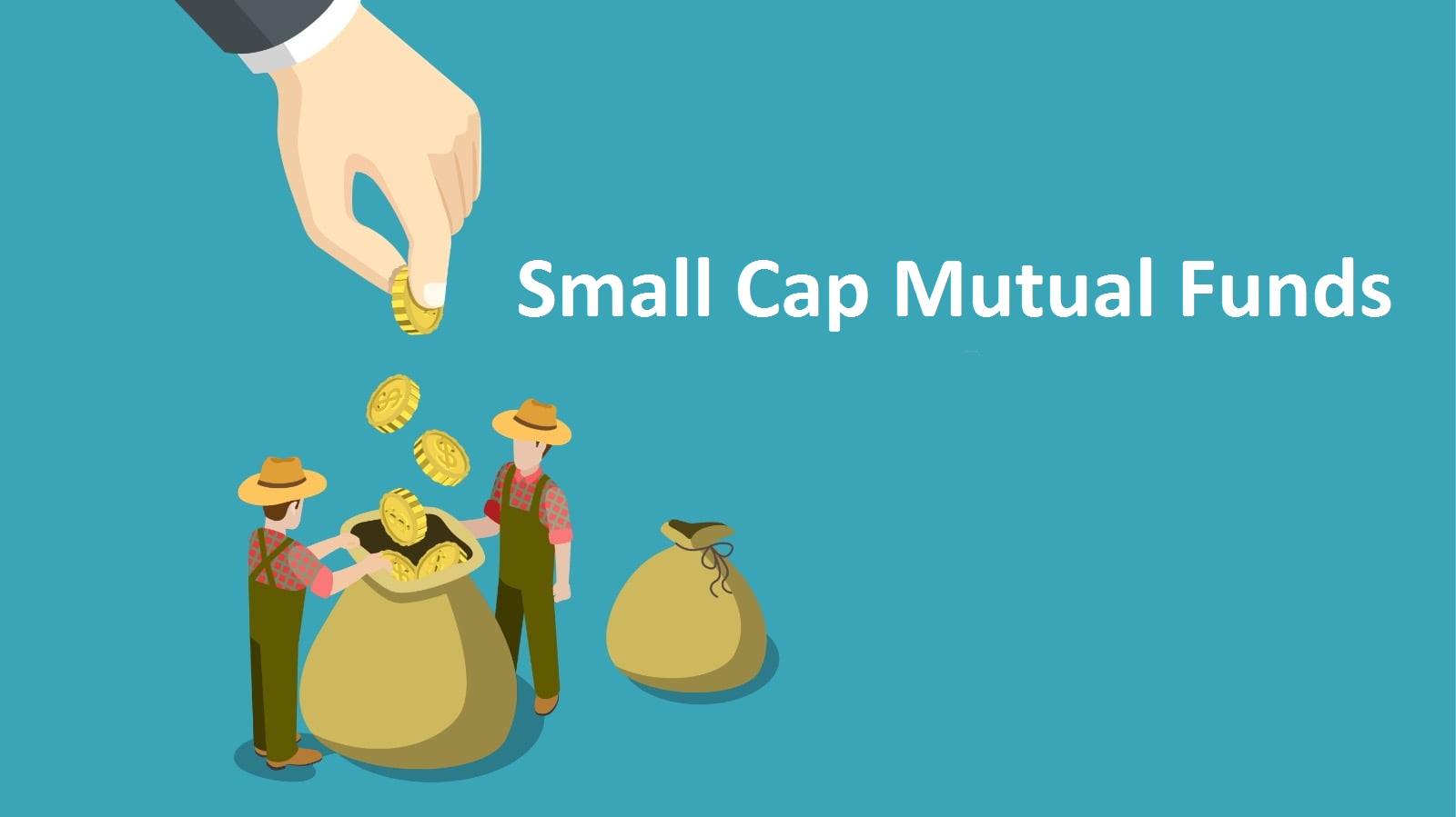 Best Small Cap Mutual Funds 2024