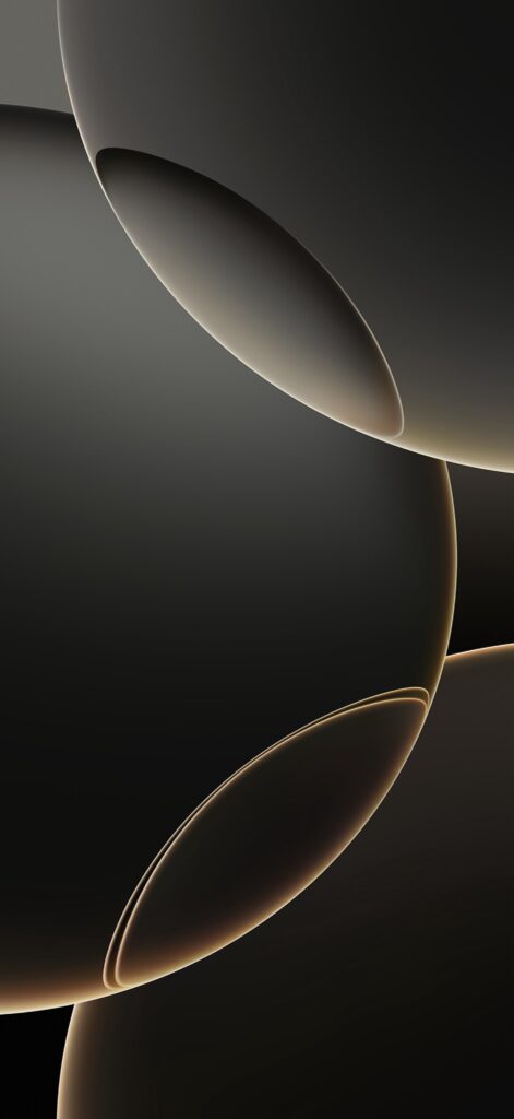 iPhone 16 Pro Natural Titanium wallpaper